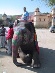  Bezahlung via Handy  - auch vom Elefant aus?!